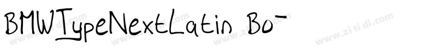 BMWTypeNextLatin Bo字体转换